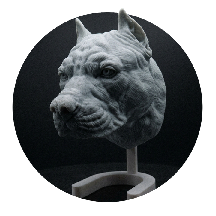 Tierköpfe