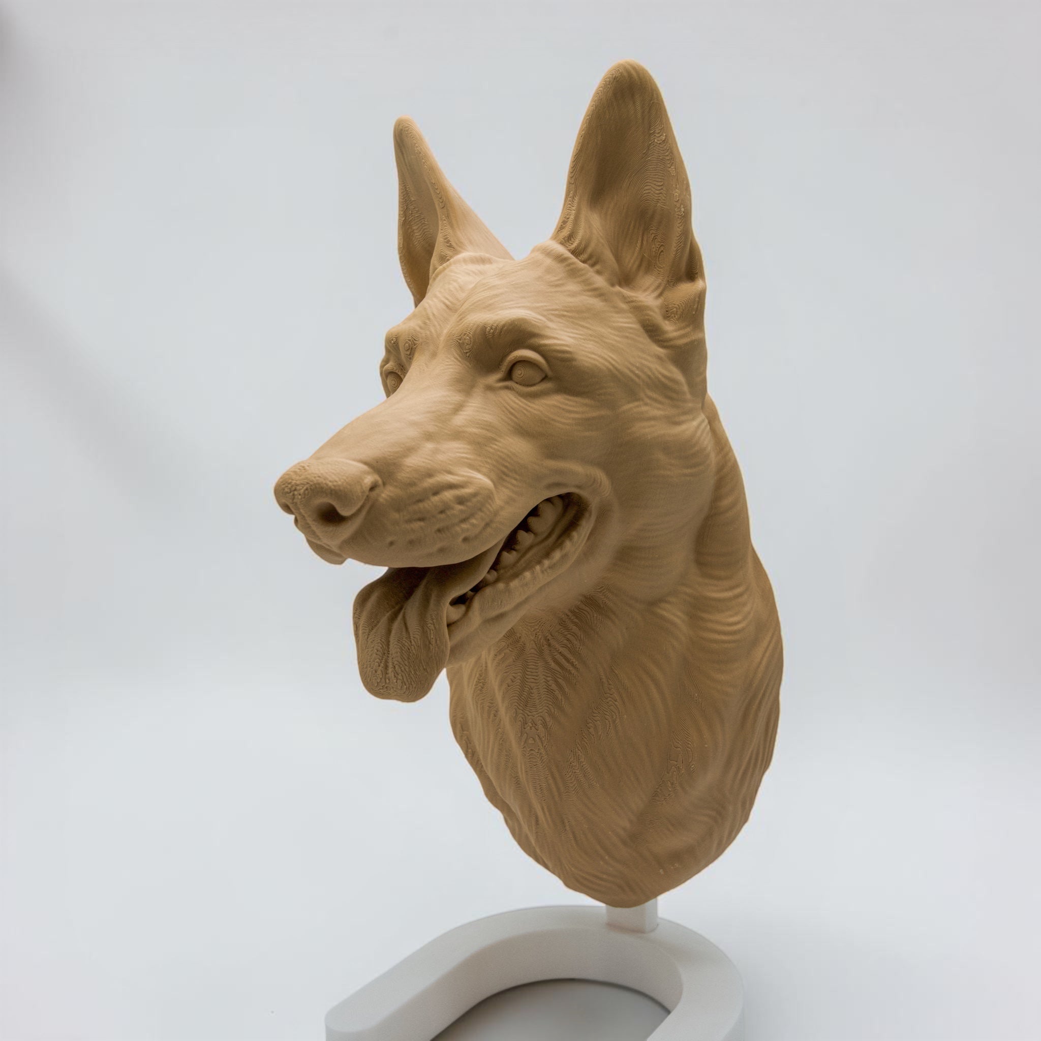Malinois / Belgischer Schäferhund
