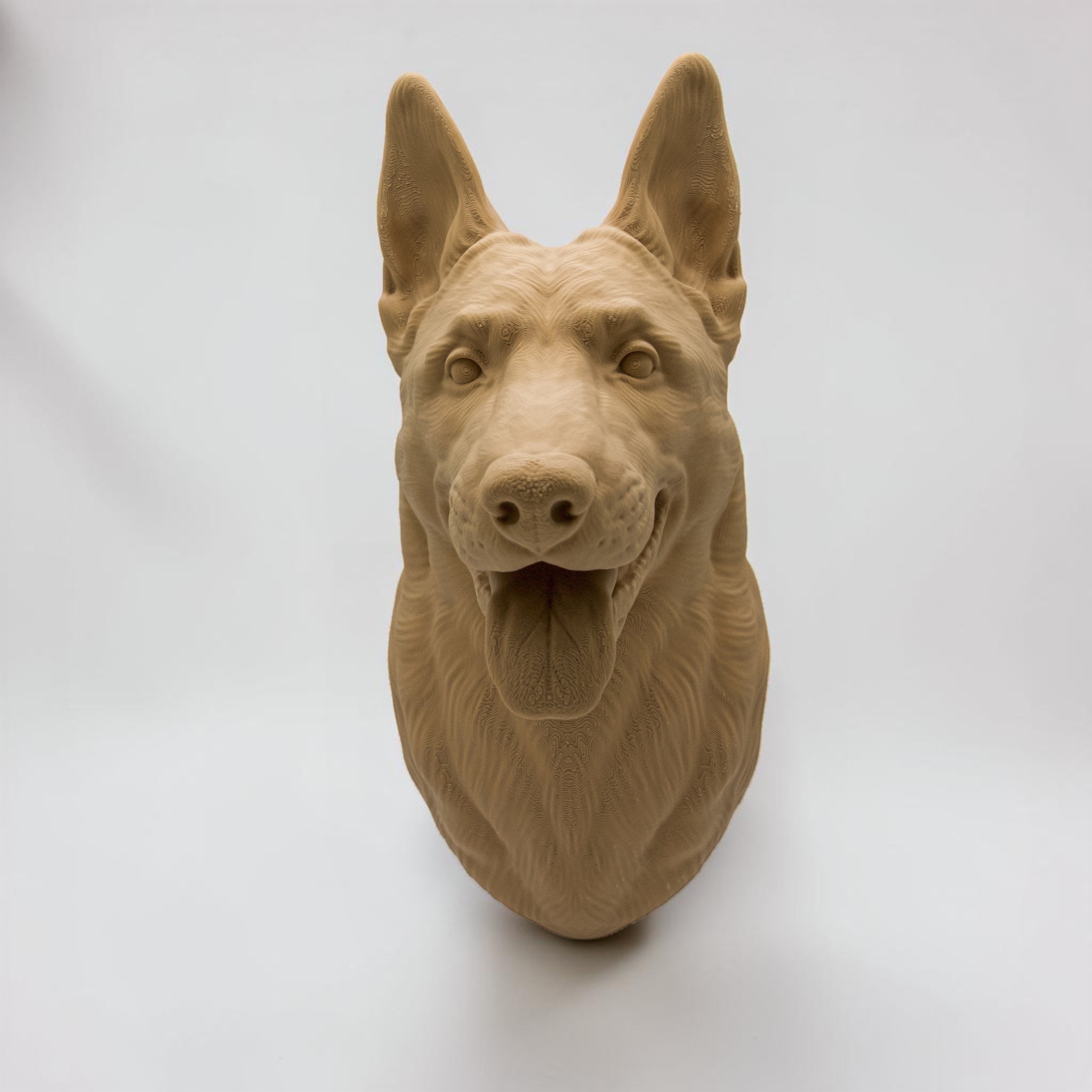 Malinois / Belgischer Schäferhund