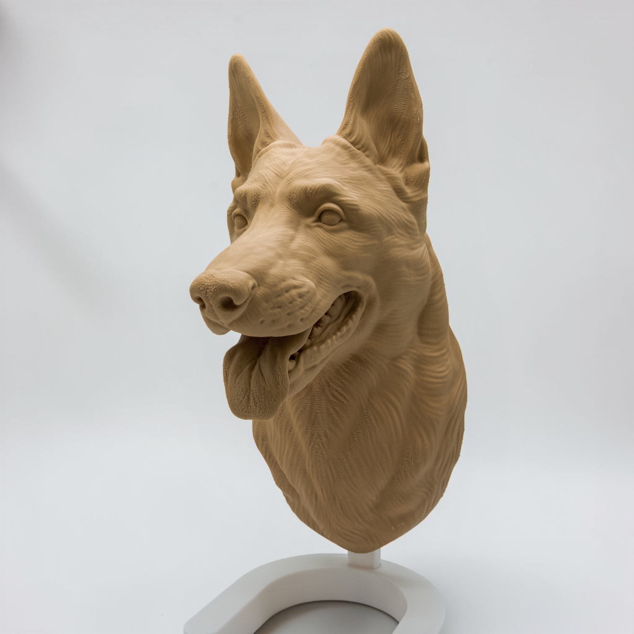Malinois / Belgischer Schäferhund