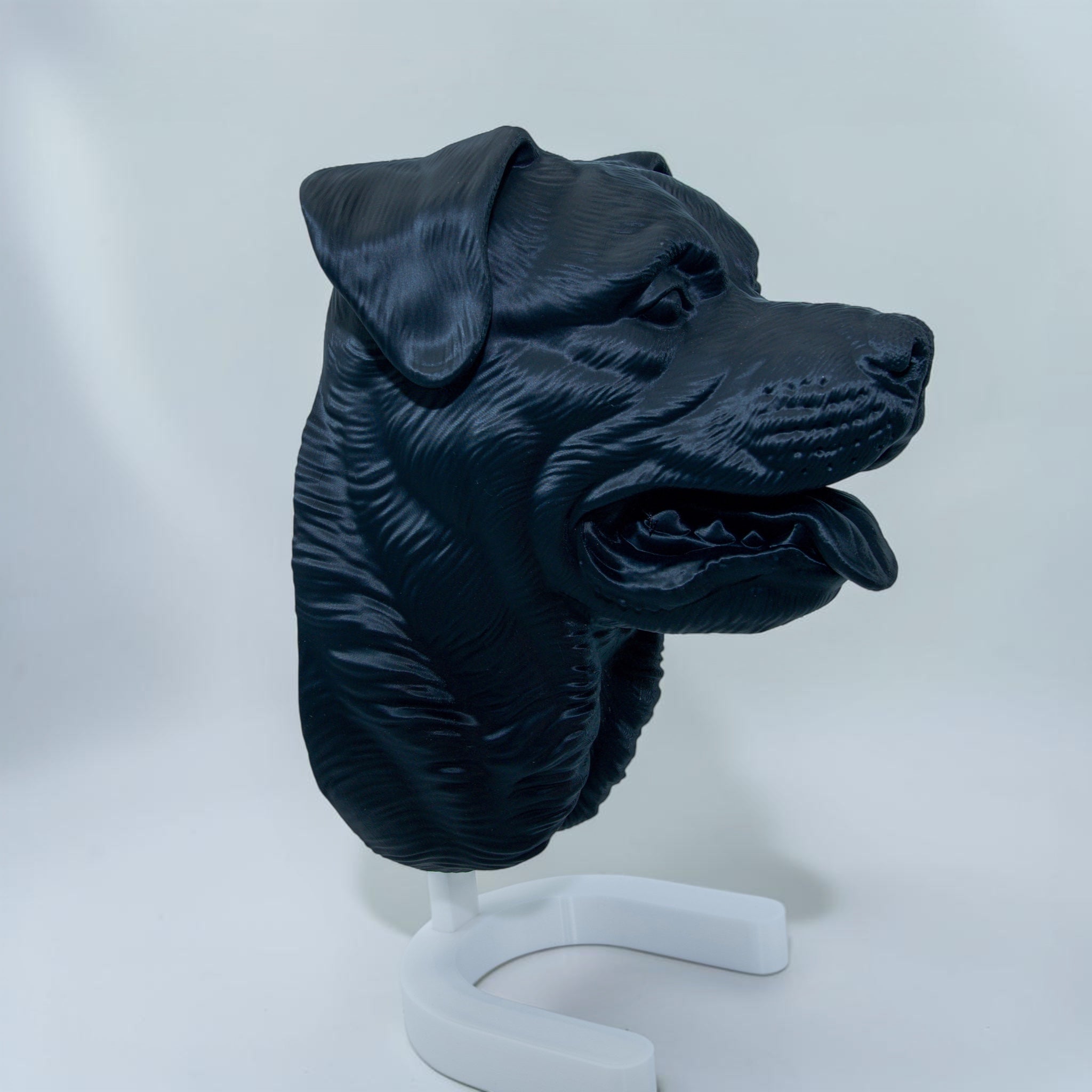 Rottweiler Maul auf