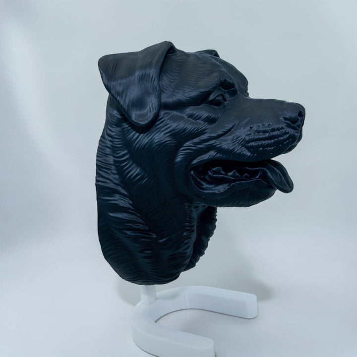 Rottweiler Maul auf