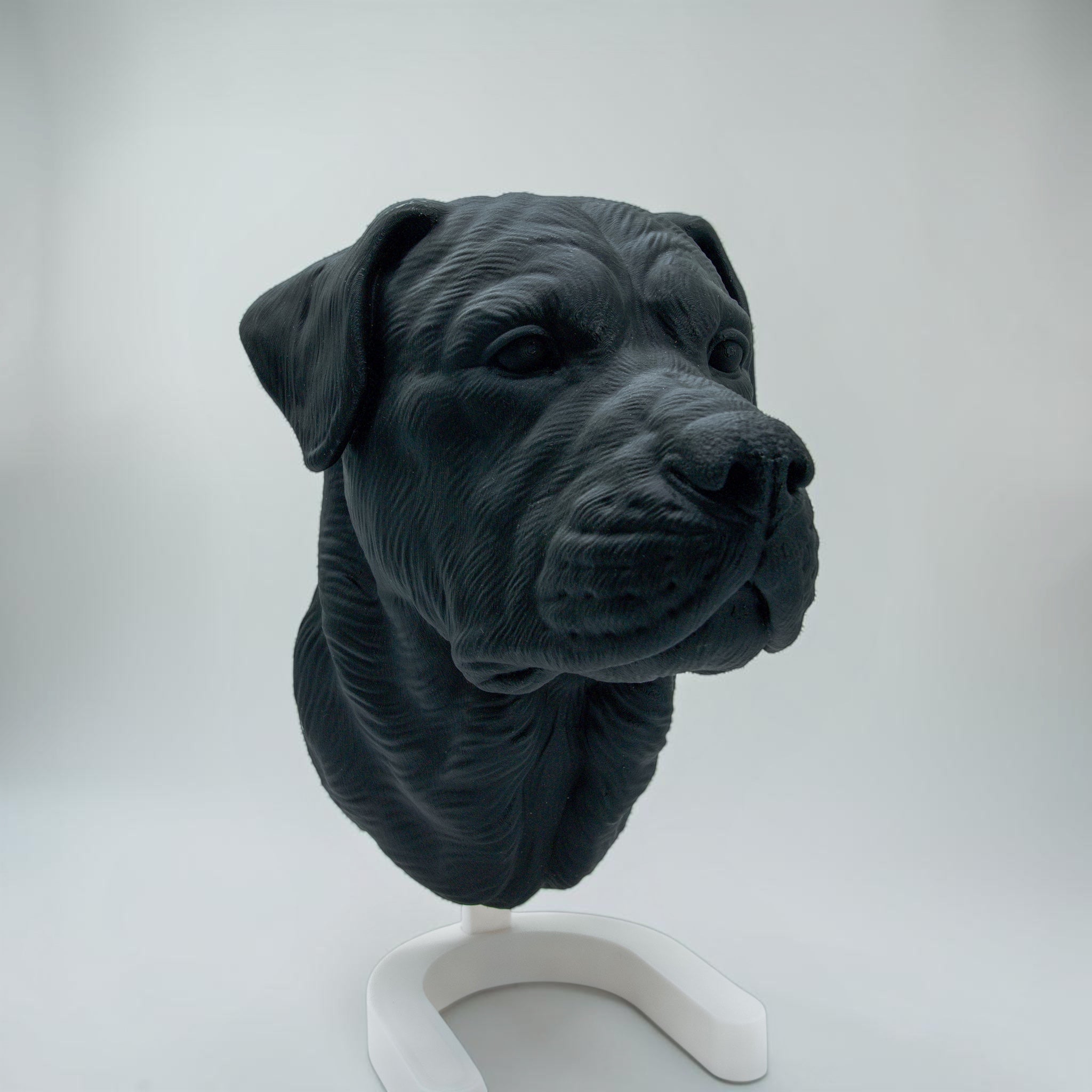 Rottweiler Maul zu
