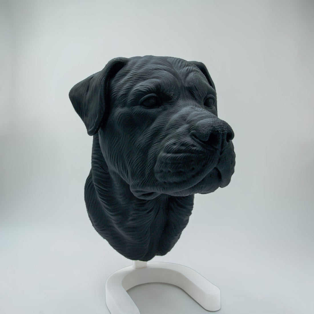 Rottweiler Maul zu