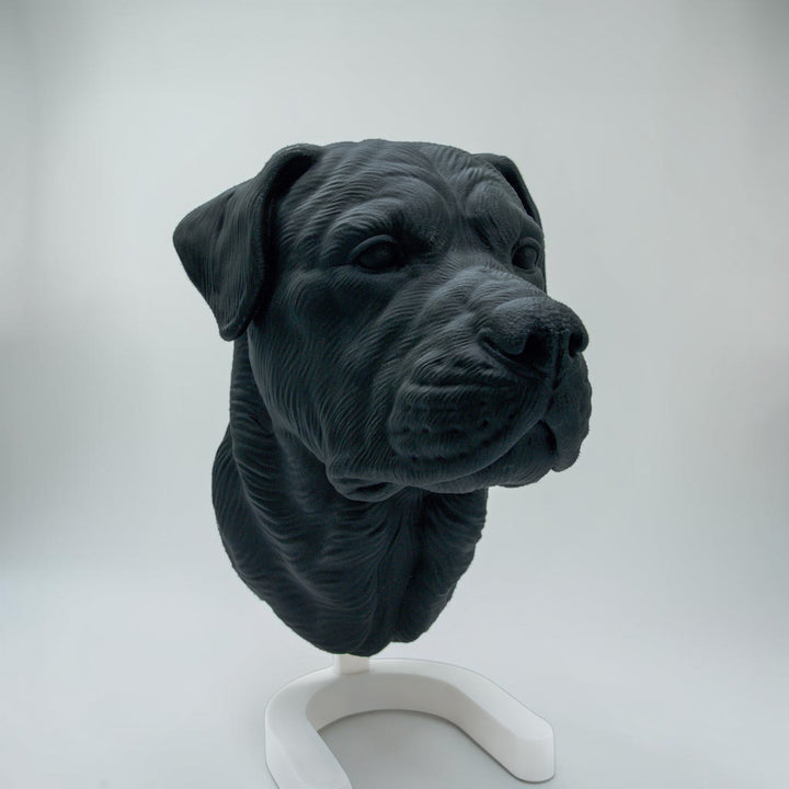 Rottweiler Maul zu