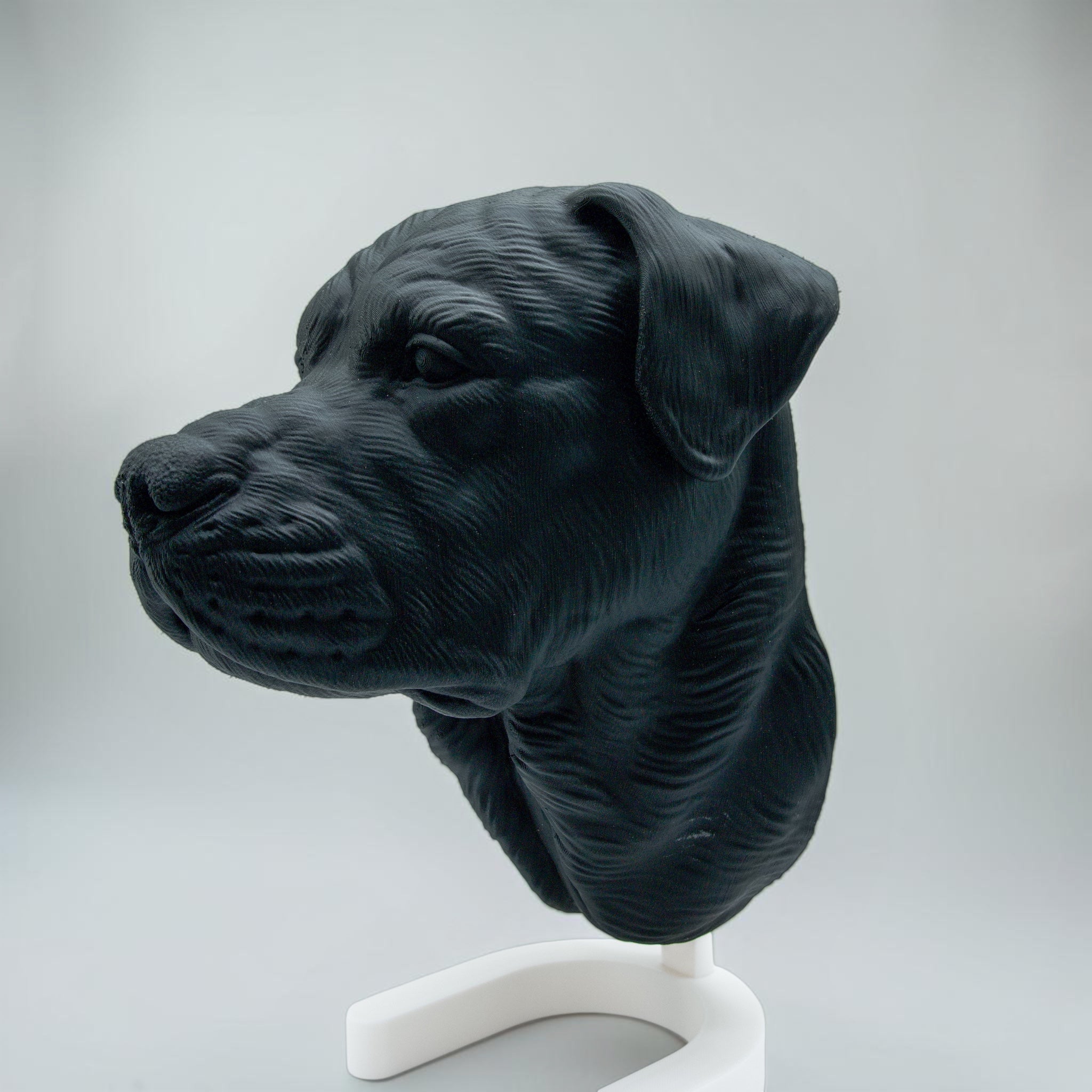 Rottweiler Maul zu