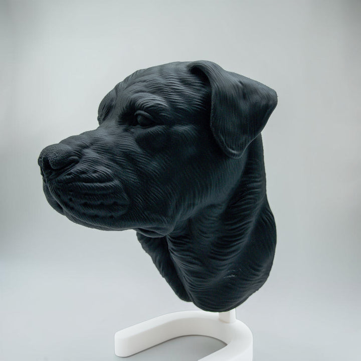Rottweiler Maul zu