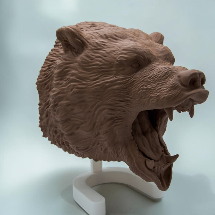 Grizzly Bär