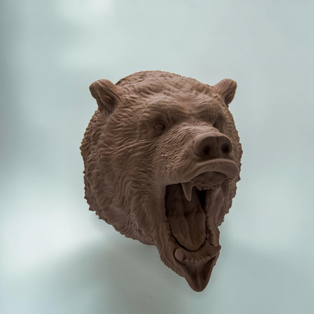 Grizzly Bär
