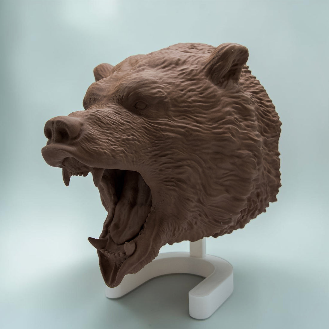 Grizzly Bär