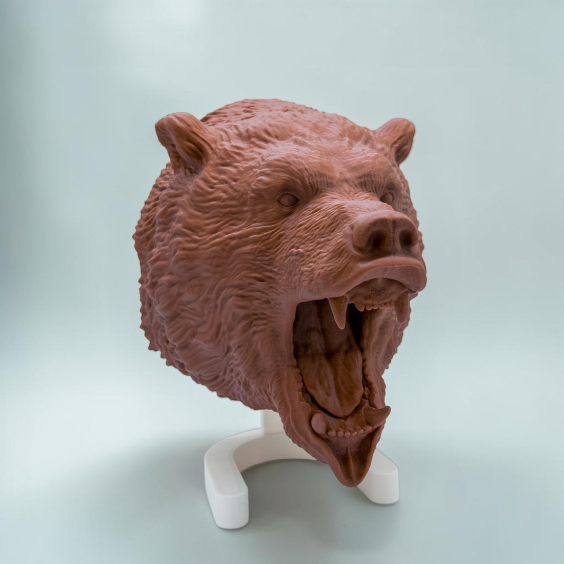 Grizzly Bär