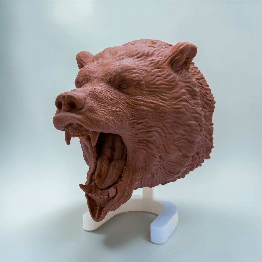 Grizzly Bär