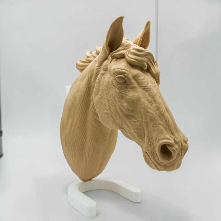 Pferd