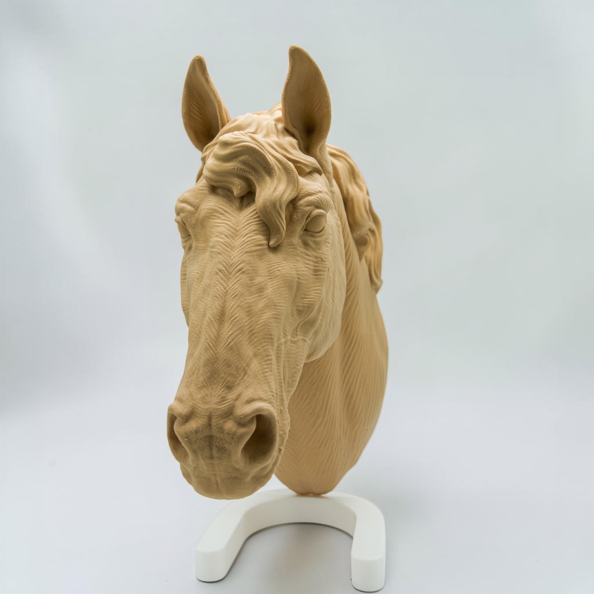 Pferd