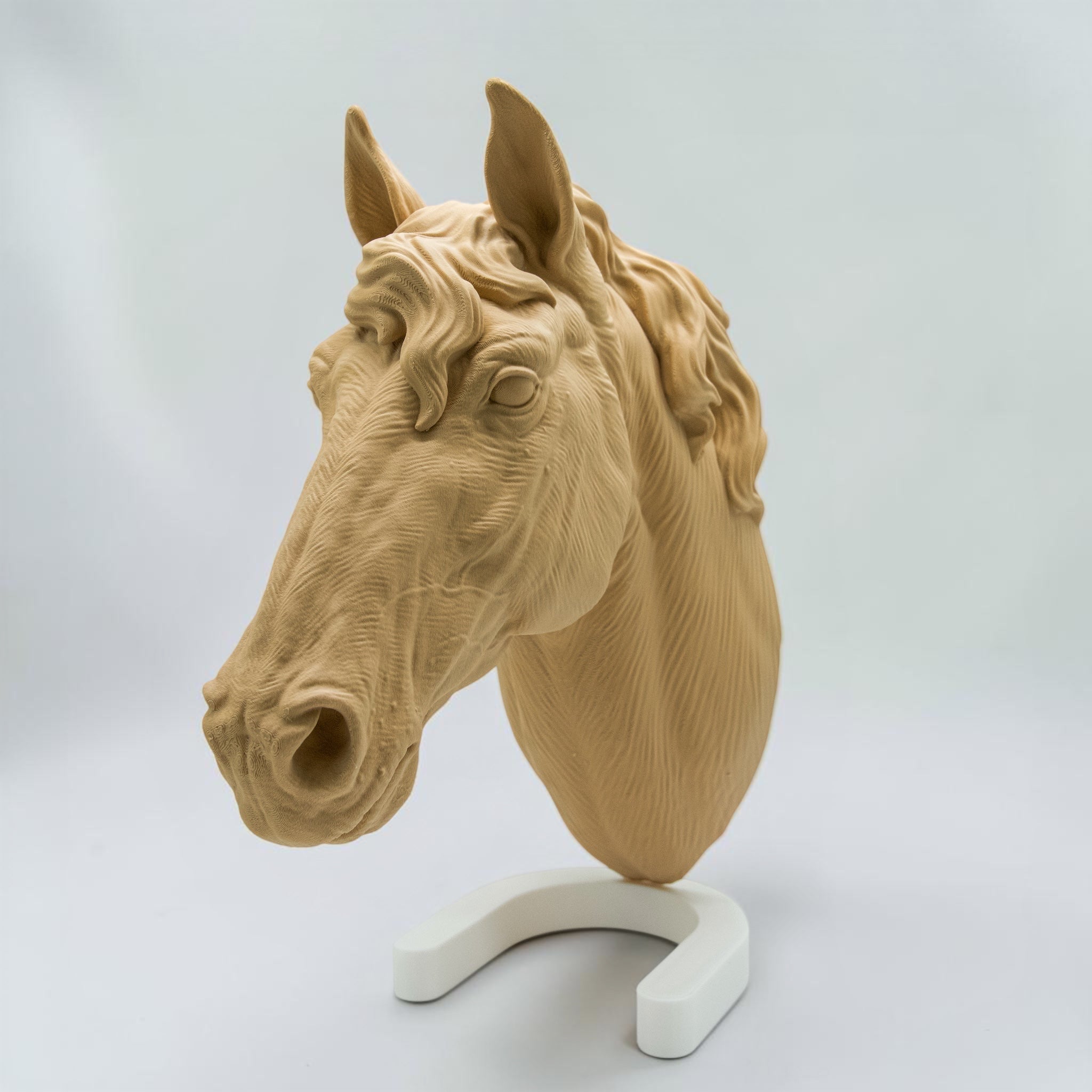 Pferd