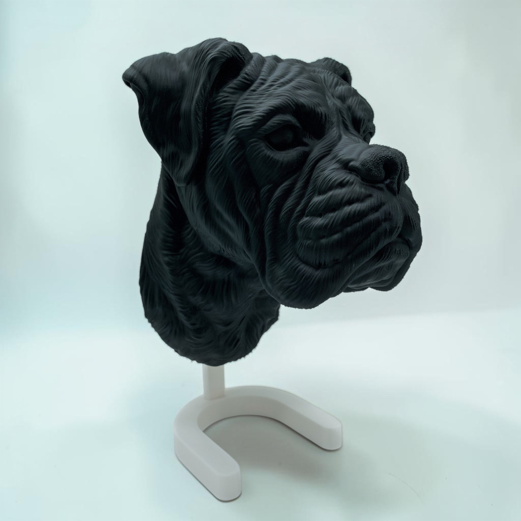 Boxer Kopf