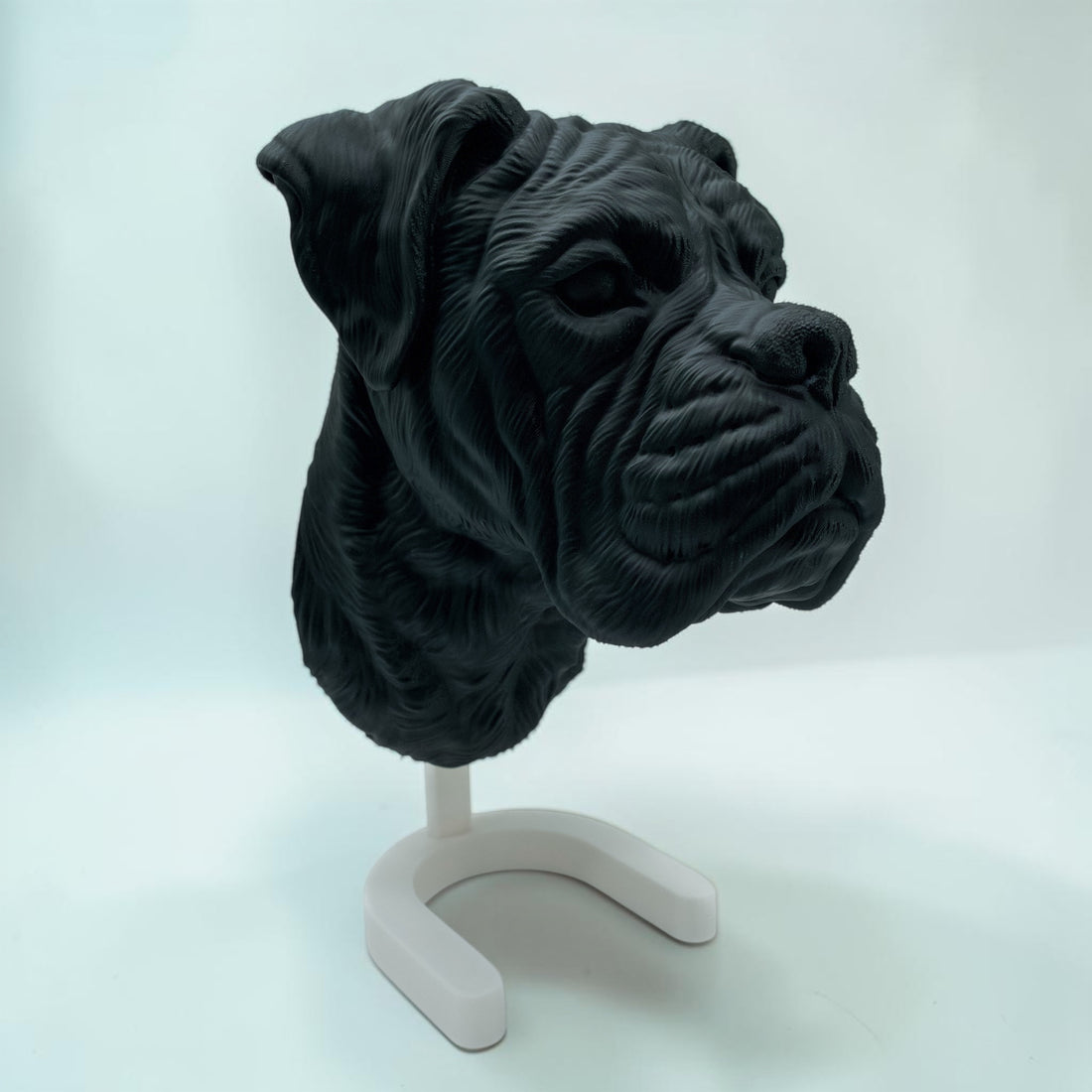 Boxer Kopf
