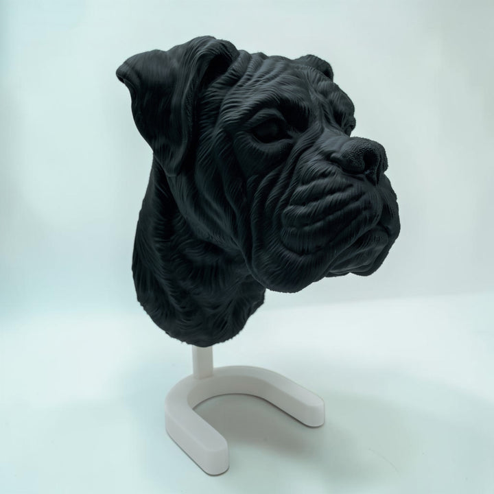Boxer Kopf