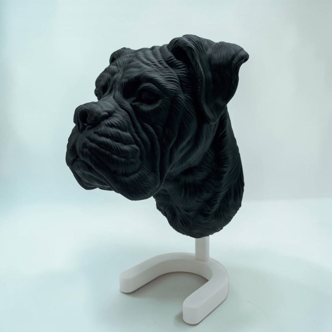 Boxer Kopf
