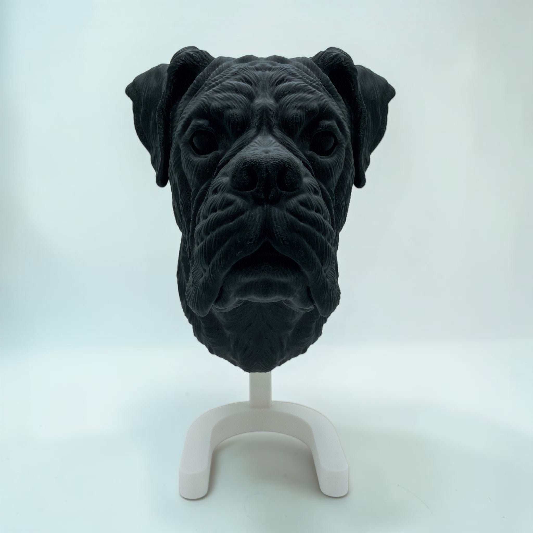 Boxer Kopf