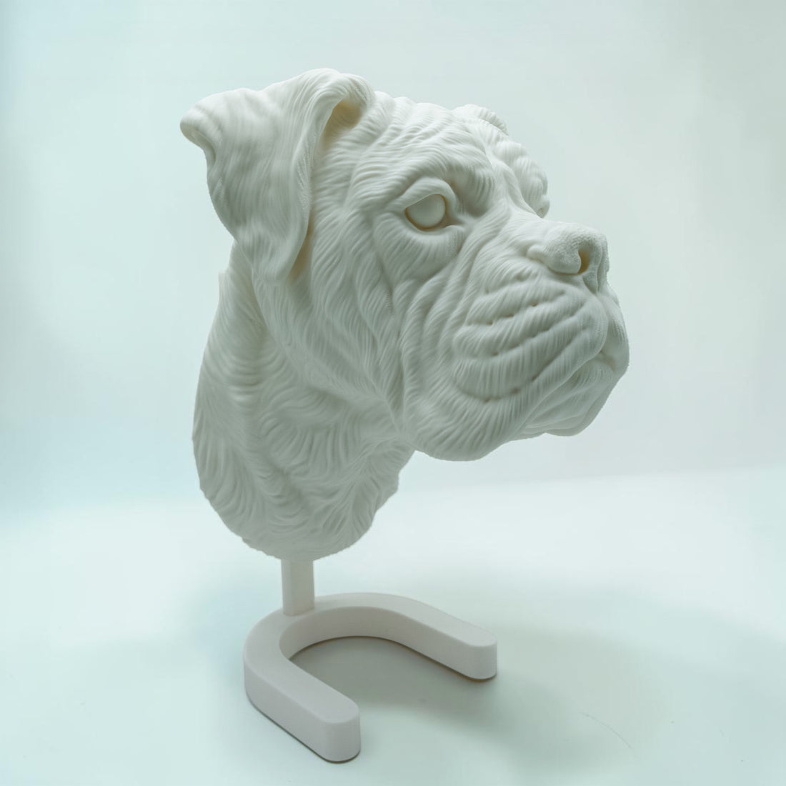 Boxer Kopf
