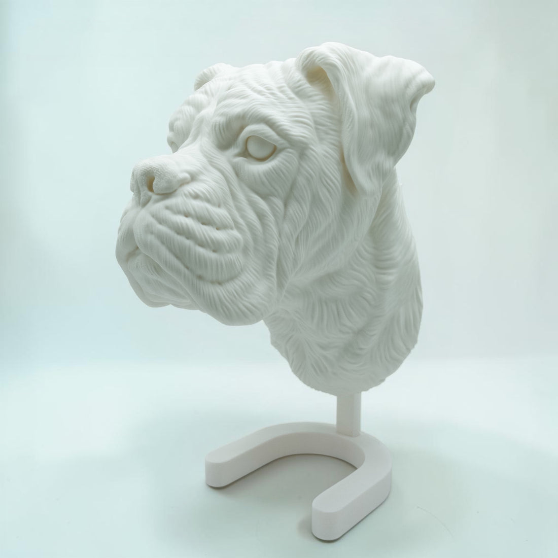 Boxer Kopf