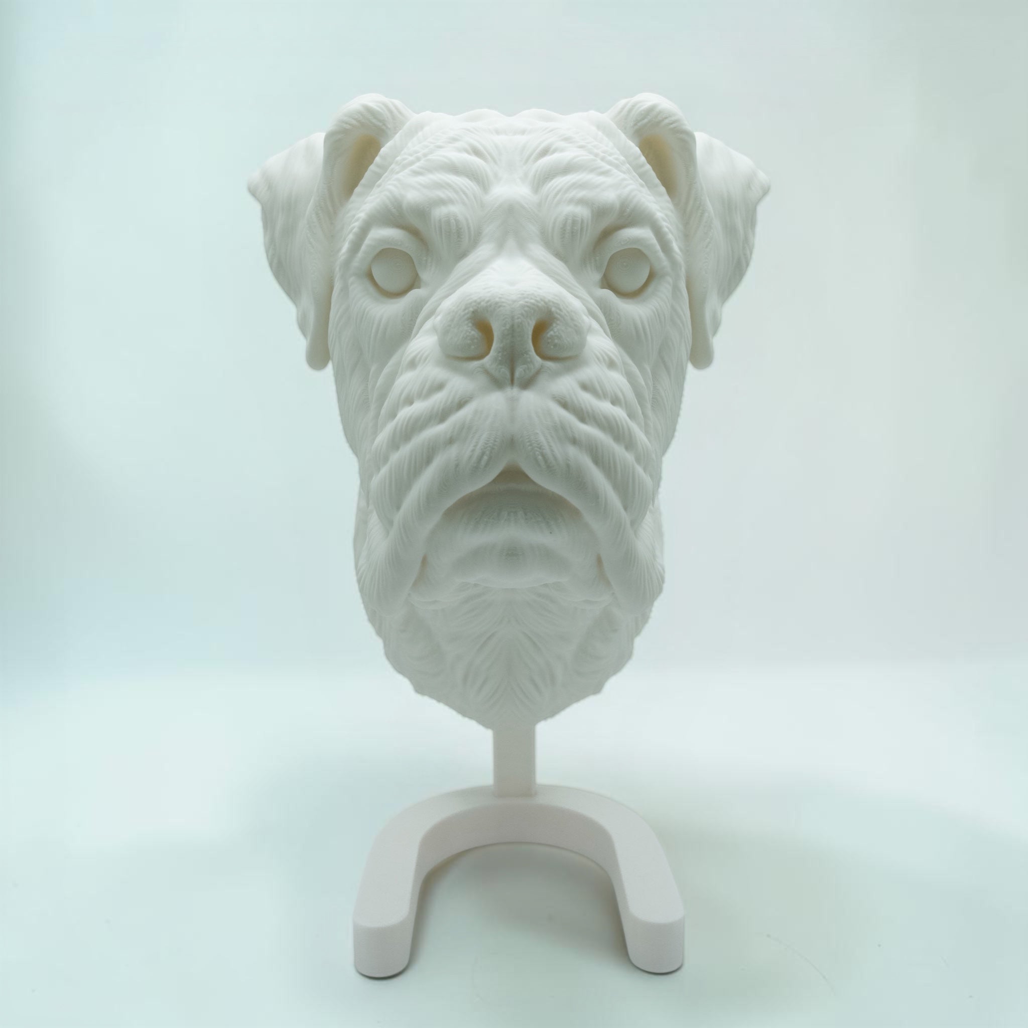 Boxer Kopf
