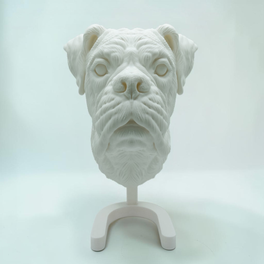 Boxer Kopf