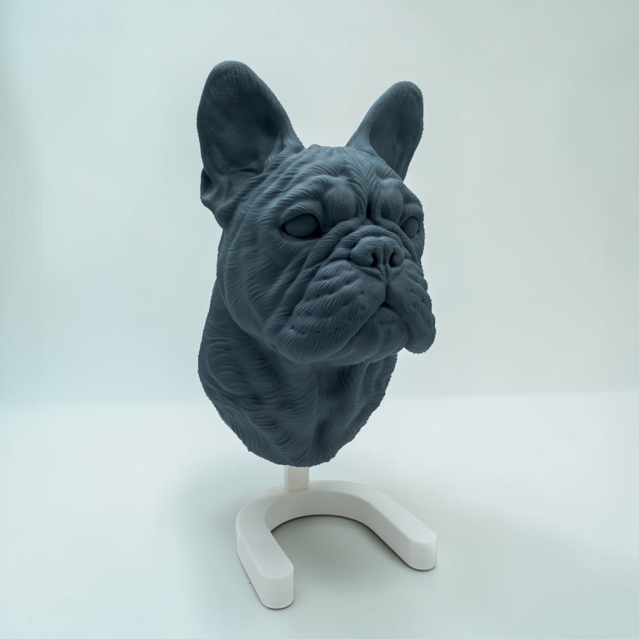 Französische Bulldogge