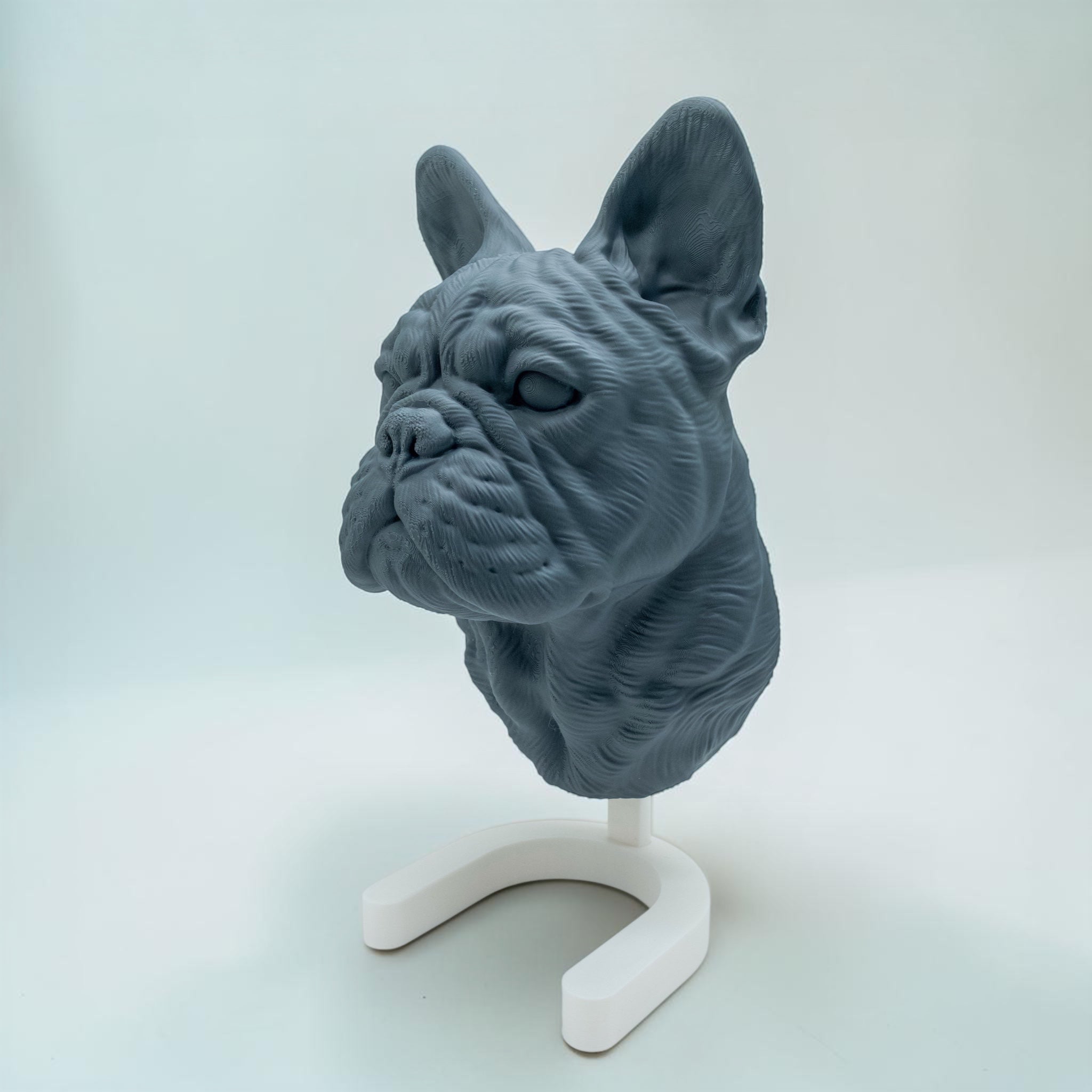 Französische Bulldogge