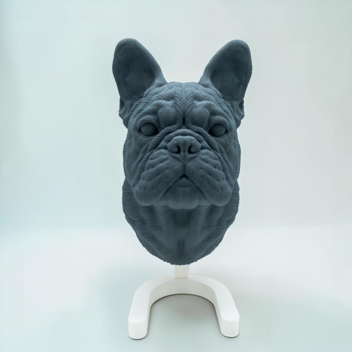 Französische Bulldogge