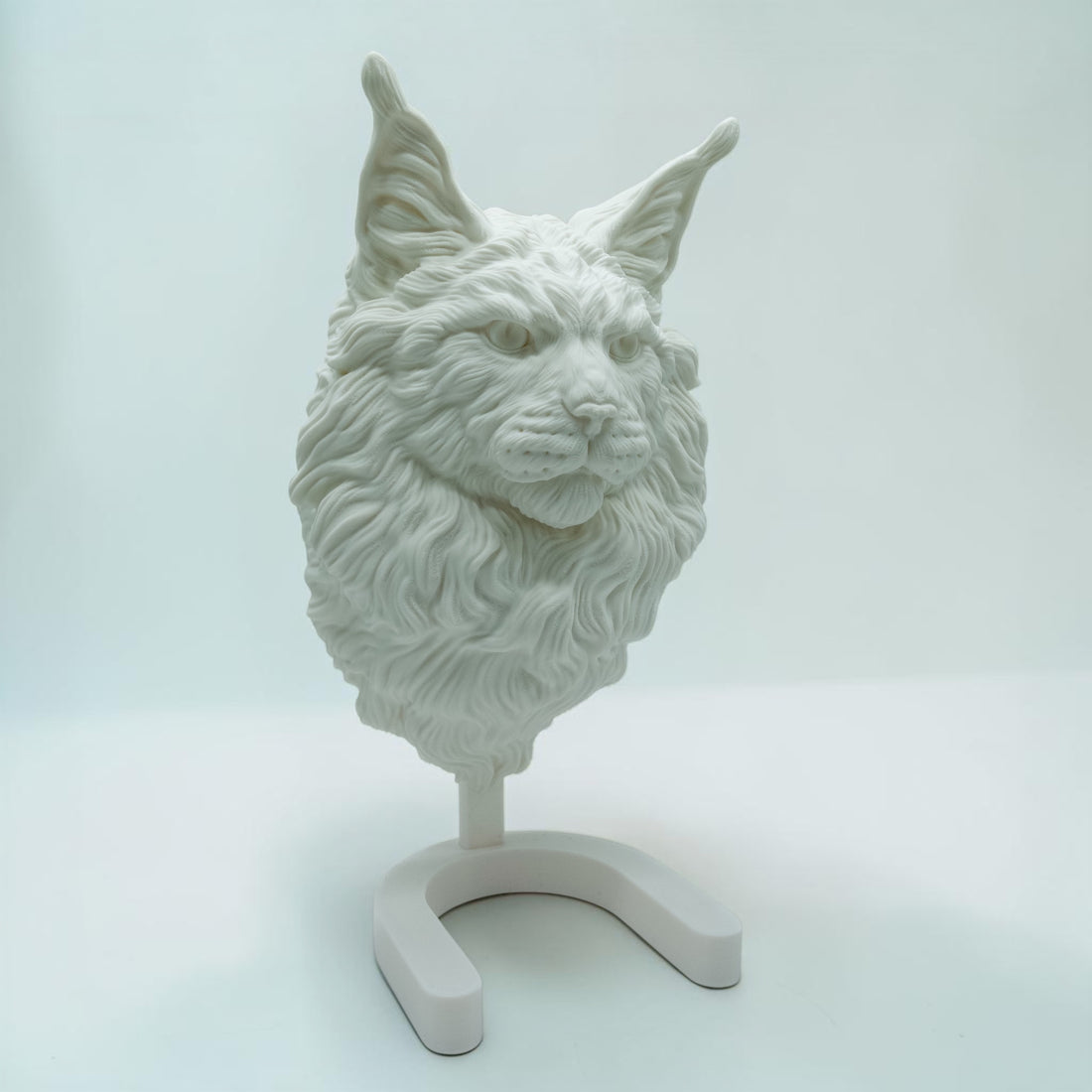 Maine Coon Katze