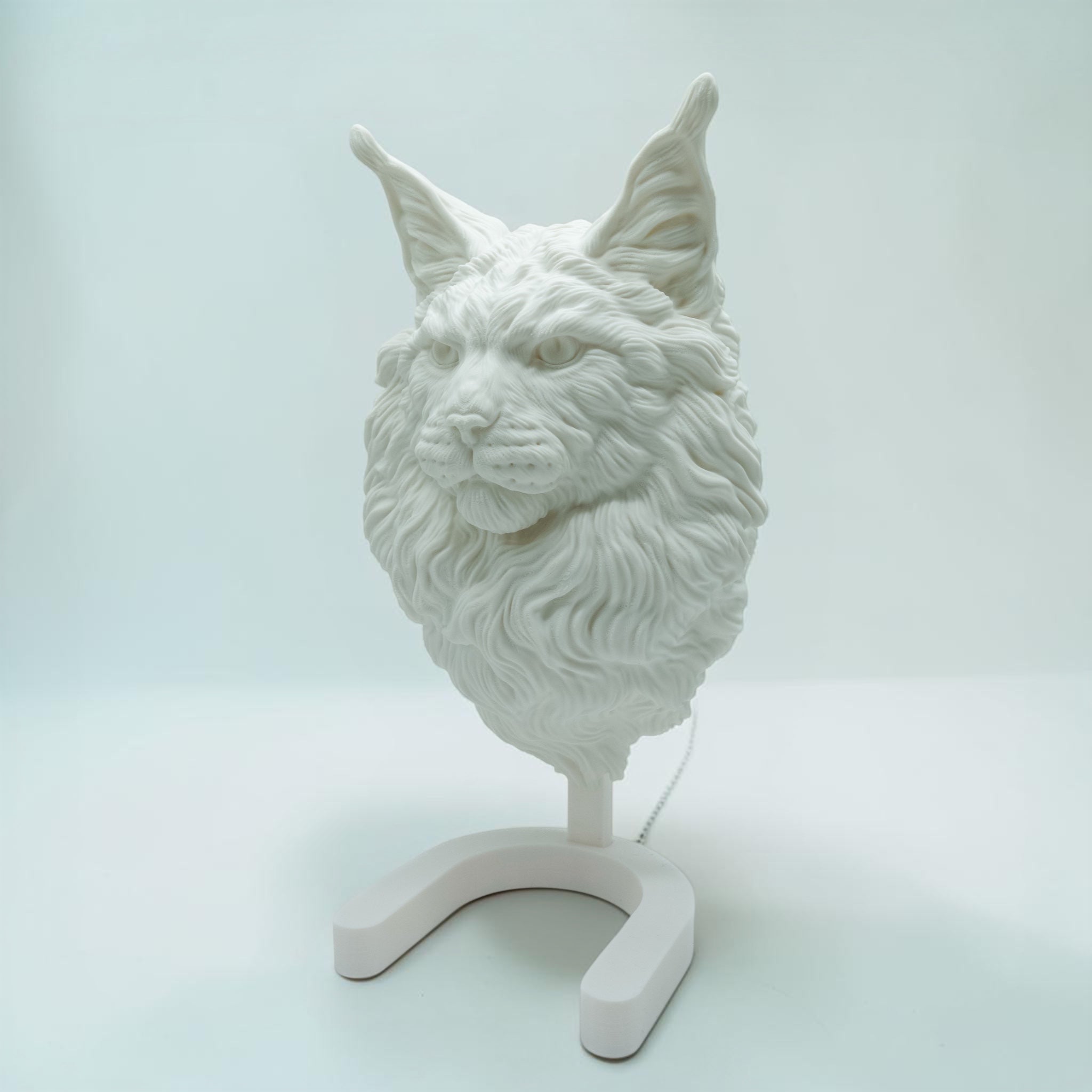 Maine Coon Katze