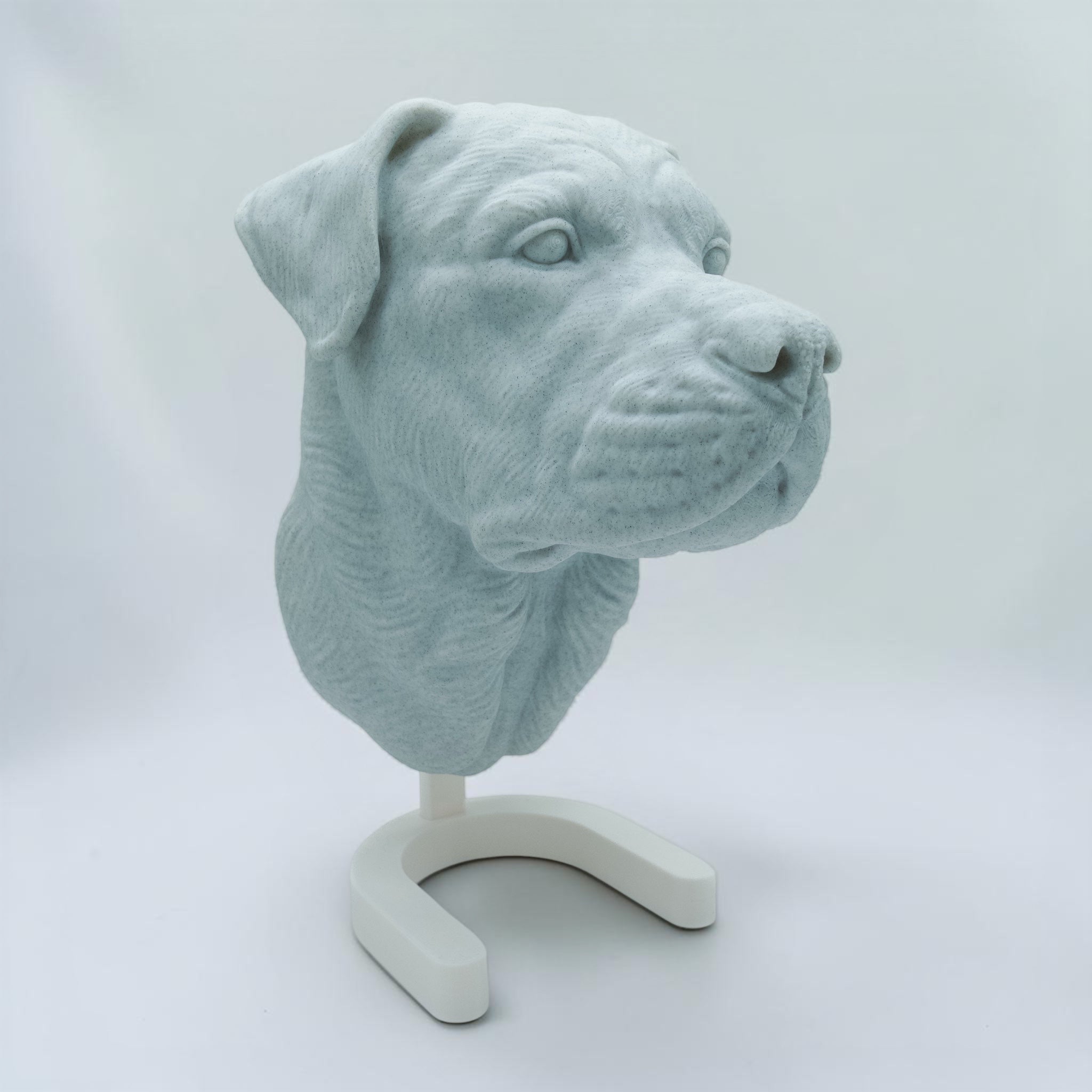 Rottweiler Maul zu