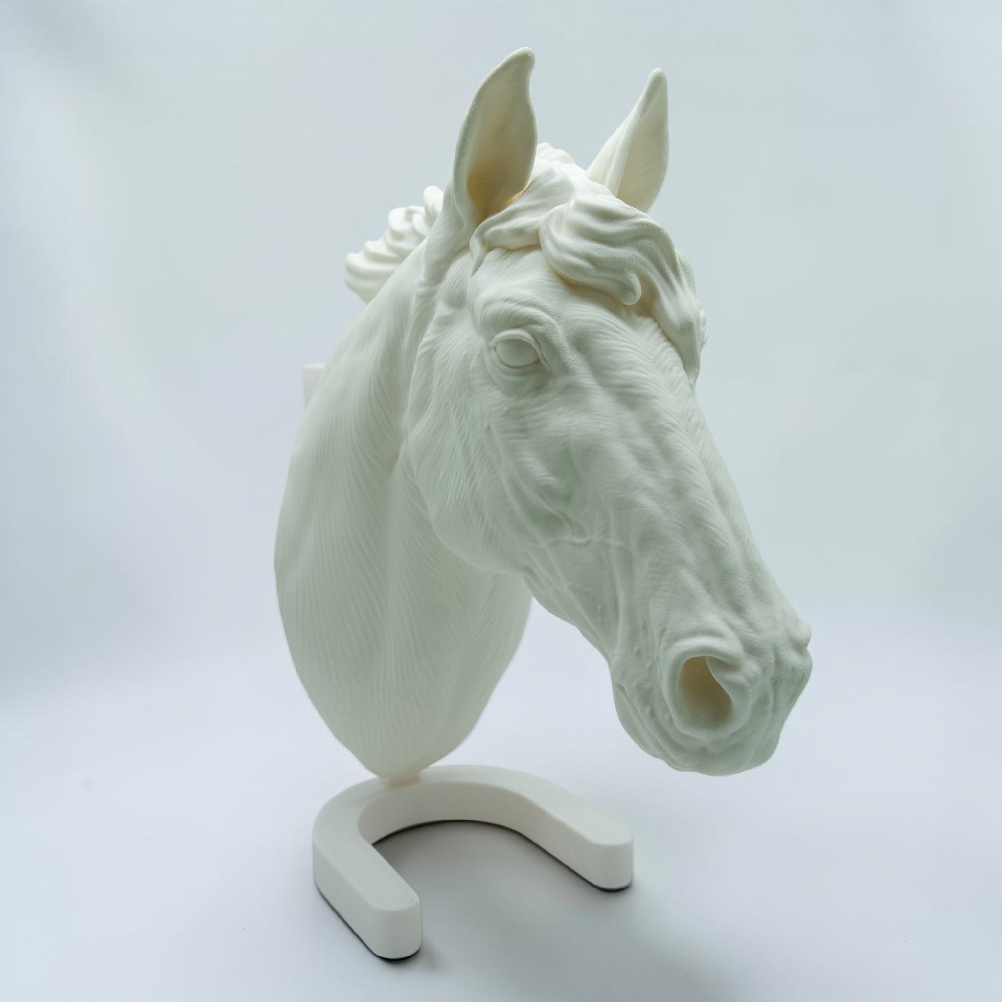 Pferd