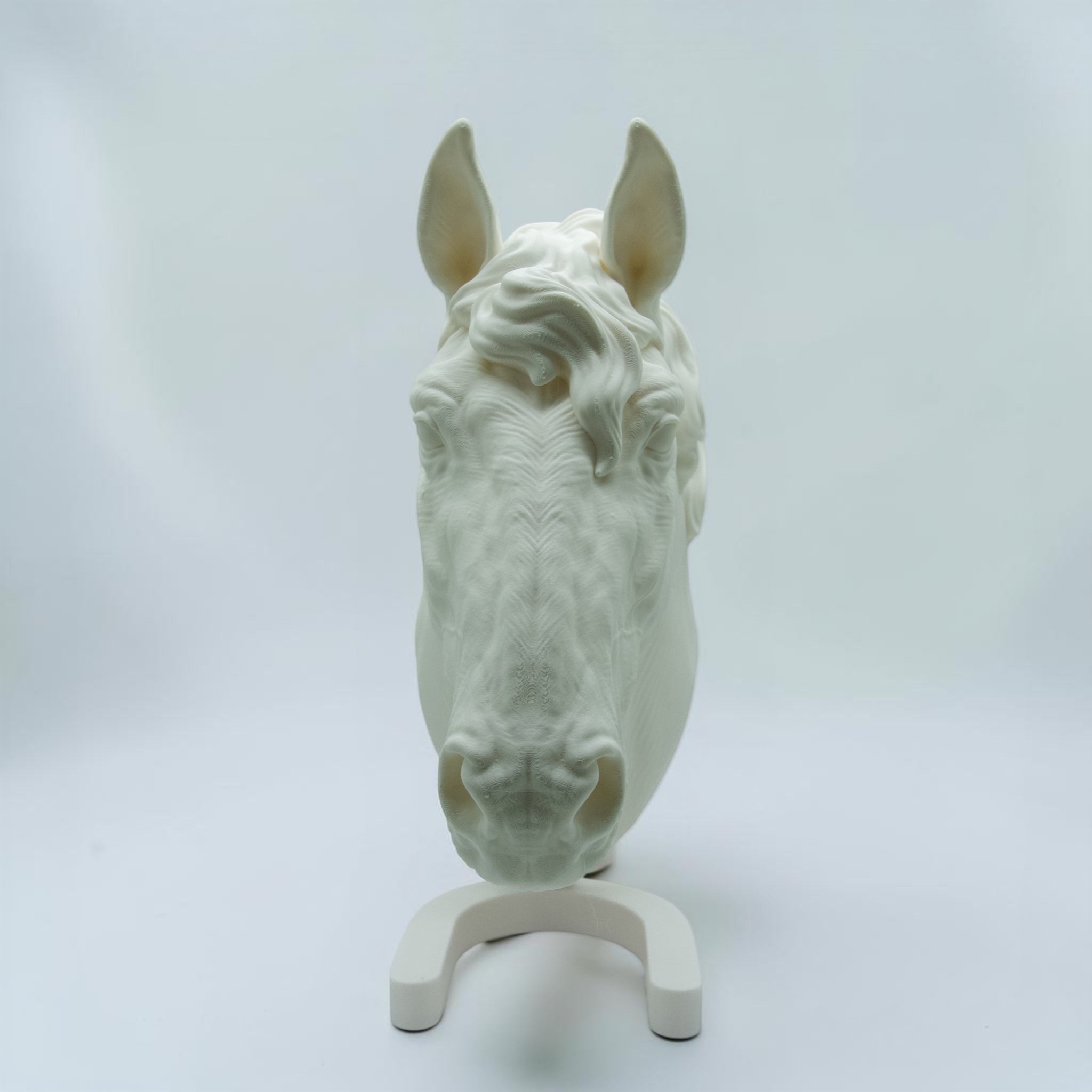 Pferd