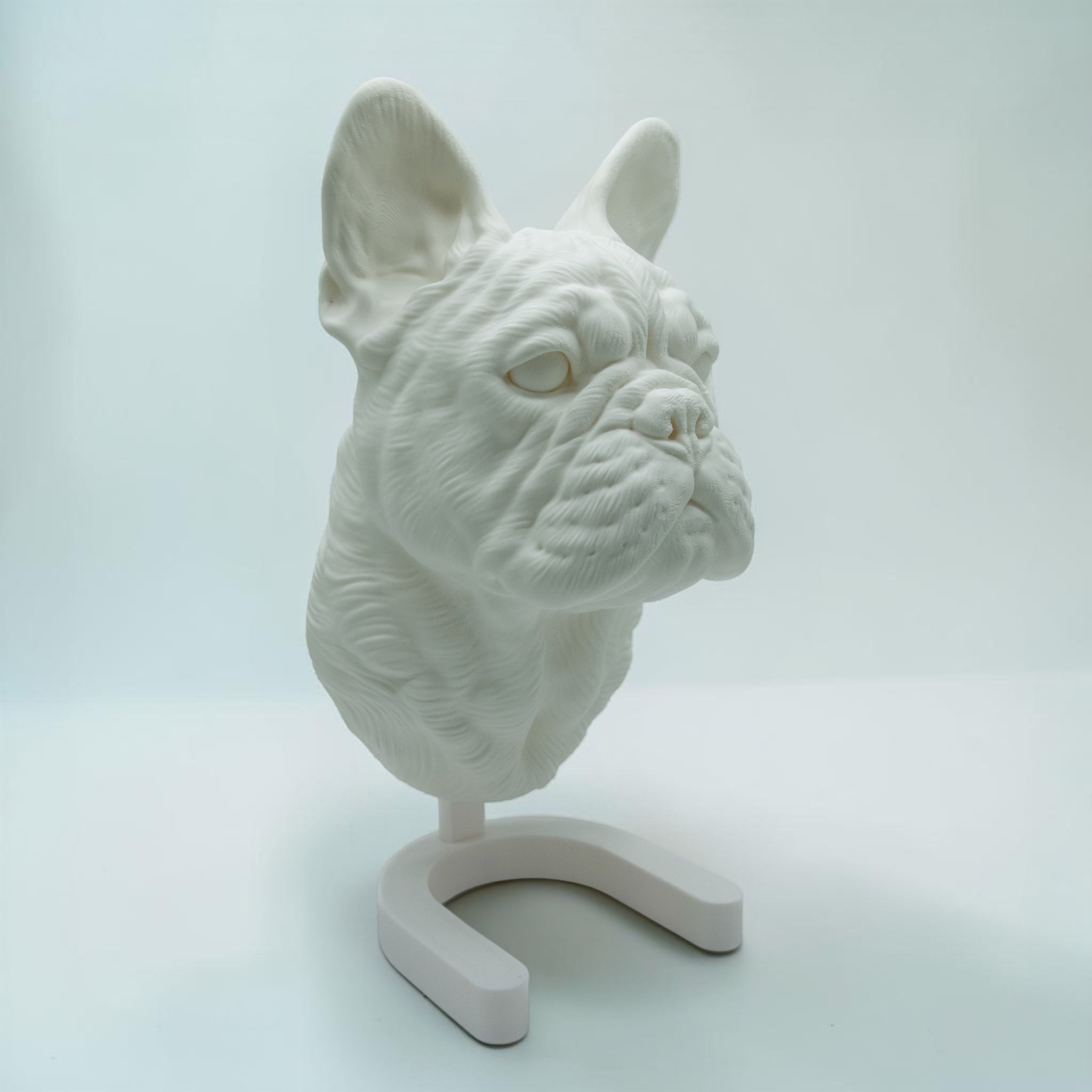 Französische Bulldogge