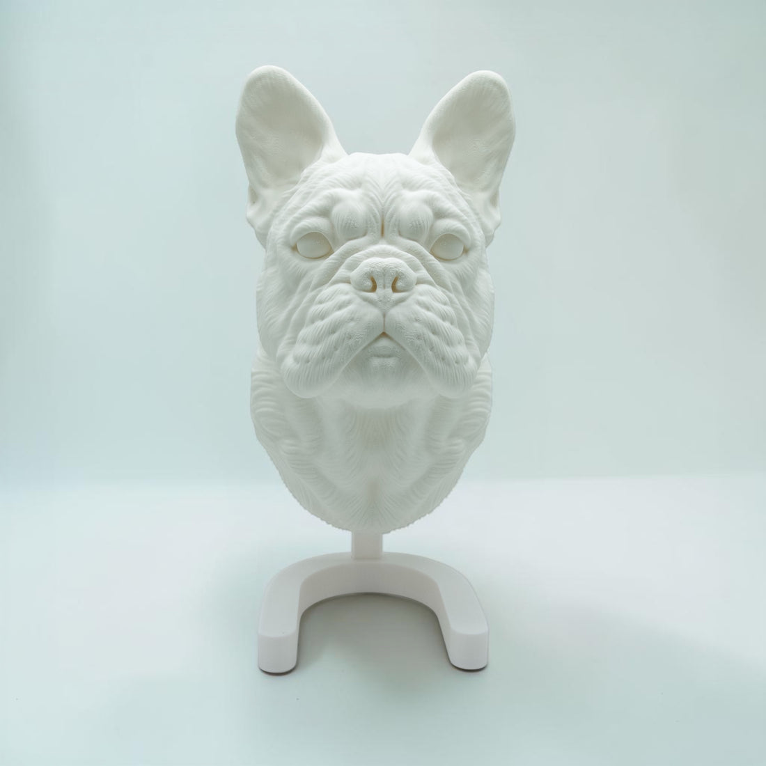 Französische Bulldogge
