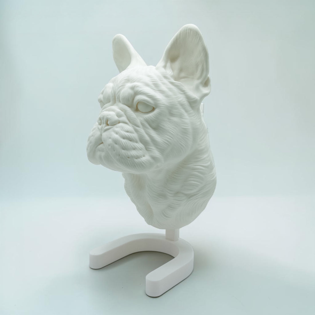 Französische Bulldogge