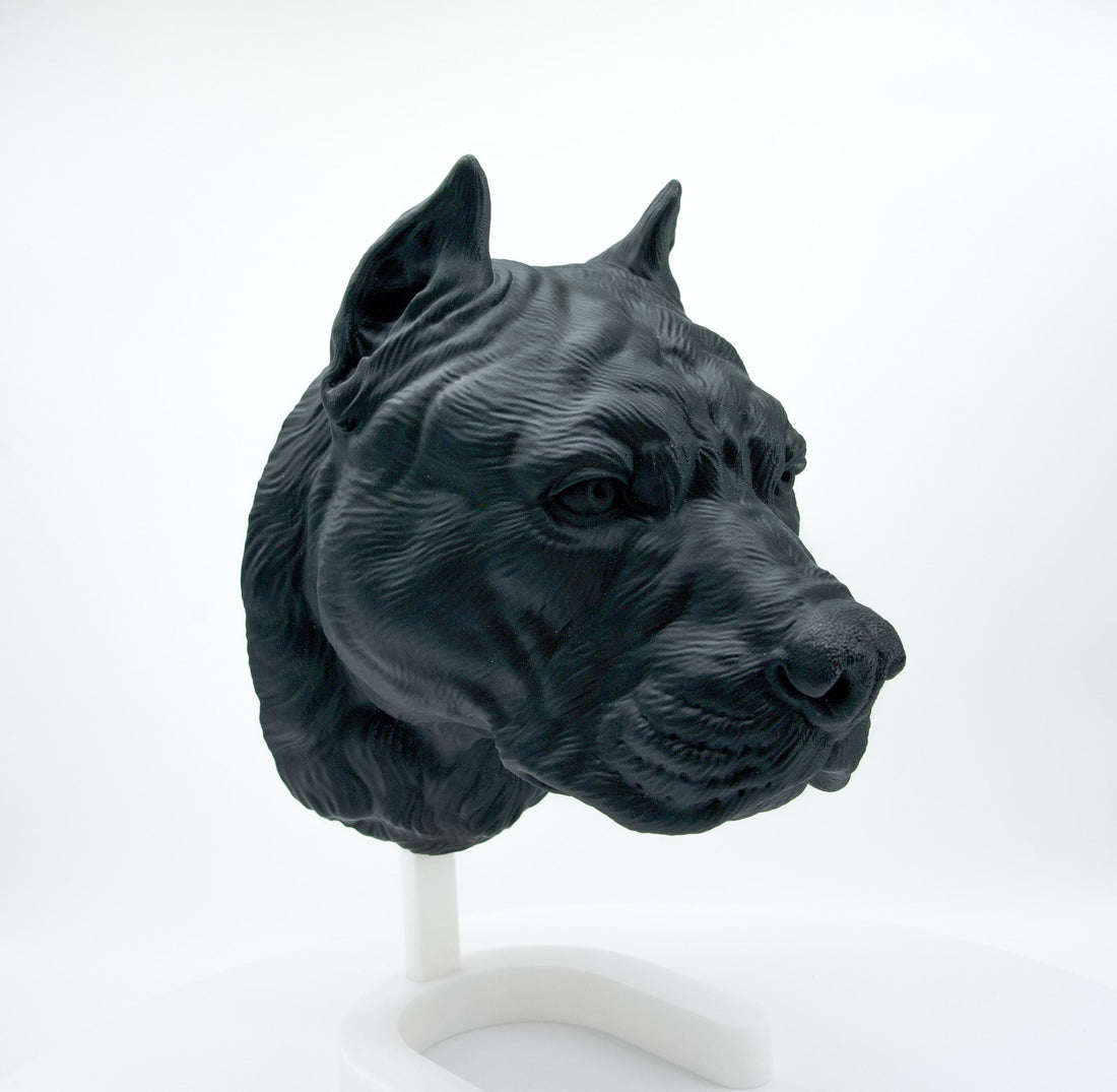 Pit Bull